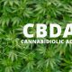 New Cannabidiolic Acid (CBDA) Research Reveals More Potent CBD Compound from Live Cannabis Plants
