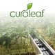 New Curaleaf Ground Flower Pods of Medical Cannabis Debut in New York