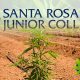 New Hemp Agriculture Cultivation Program to Open at Santa Rosa Junior College