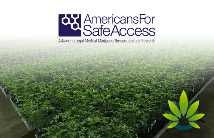 New Medical Cannabis Patient's Travel Guide by Americans for Safe Access is Available