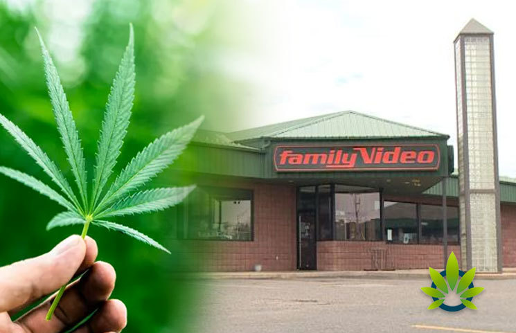 Newton Family Video in Iowa Forced to Halt the Sale of CBD Oil Products