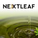Nextleaf Secures US Patent for Its Post Cannabis Oil Extraction Methodology of CBD and THC