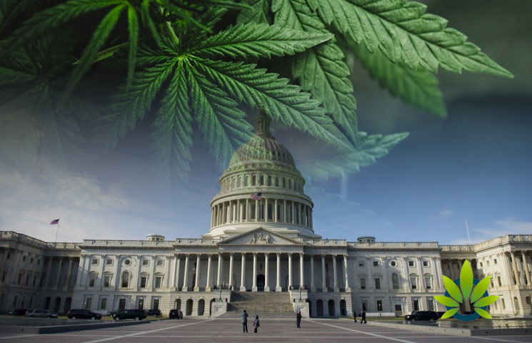 Over 20 State Attorney Generals Say State Marijuana Policies Need Protection from Federal Govt.