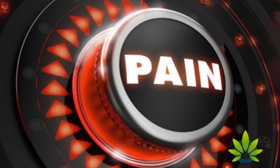 Pain Management Is Most Common Use of CBD in US Per Newest User Poll