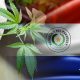 Paraguay Plans to Issue Citizens with Medical Cannabis Production Licenses