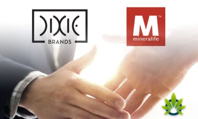 Partnership-Between-Dixie-Brands-and-Mineralife-for-CBD-Production