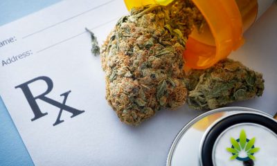 Petition by the Medical Marijuana 2020 Campaign, an Initiative for Mississippi General Elections