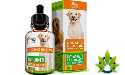 Pets-Primal-Hemp-Oil-for-Cats-and-Dogs--Anti-Anxiety-Hip-and-Joint-Pain-Relief