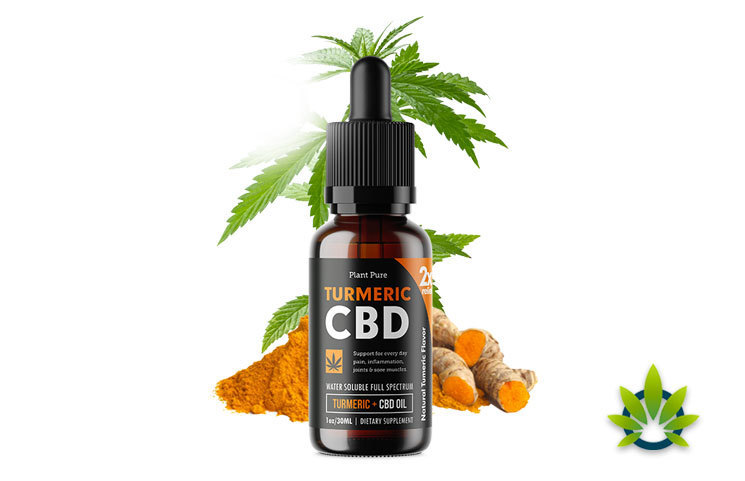 Plant Pure Turmeric CBD