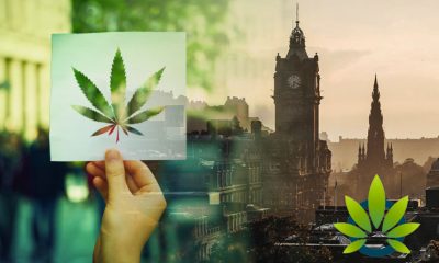 New Scotland Survey Shows Support for Cannabis Legalization at Nearly 50%