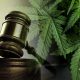 President’s View on Legal Marijuana Sways American Opinion: Kennesaw State, Old Dominion University Study