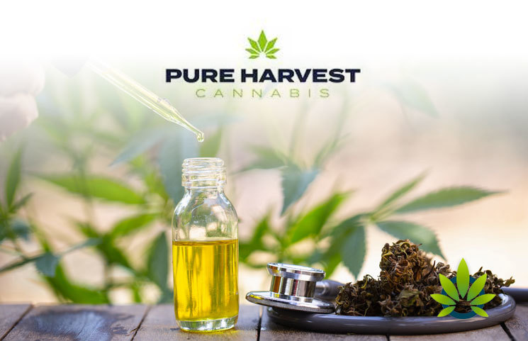 Prolific-Nutrition-becomes-Pure-Harvest-Hemp-Inc-a-fully-owned-subsidiary-of-PHCG