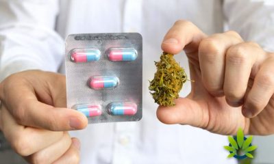 Pure-Green-Develops-Parachute-Pill-to-End-THC-High