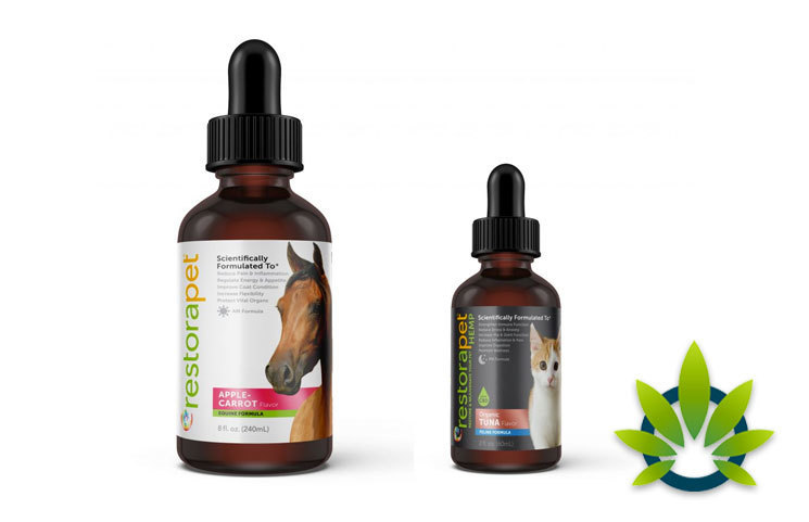 RestoraPet Launches New CBD-Infused Hemp Supplements Line for Cats and Horses