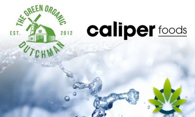 Caliper CBD Preliminary Study Results Shared by Caliper Foods and The Green Organic Dutchman