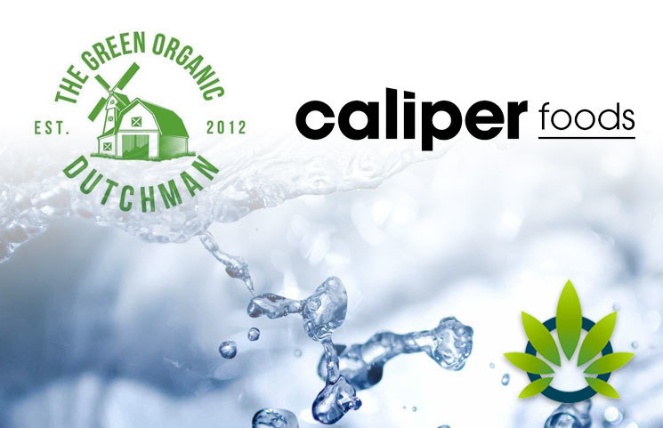 Caliper CBD Preliminary Study Results Shared by Caliper Foods and The Green Organic Dutchman