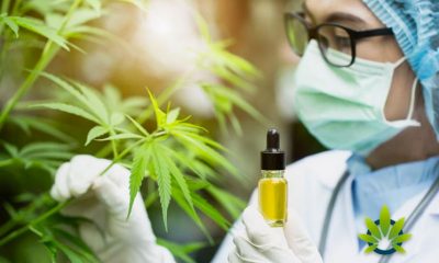 Science-Shows-the-Truth-of-Hemp-and-CBD-Benefits