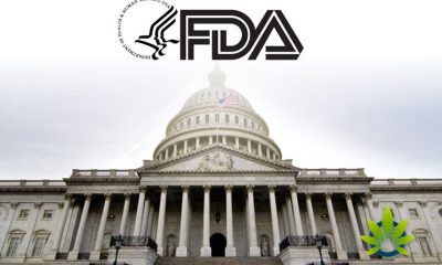 Senate and House of Representatives Push FDA to Make a Hemp CBD Policy Decision