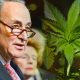 Senator Chuck Schumer Calls for Decriminalization In Response to Cannabis Banking Bill