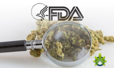 Should the FDA Back Off from CBD Companies? A Few Bipartisan Lawmakers Says Yes