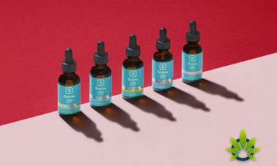 Social-CBD-Launches-New-Product-Line