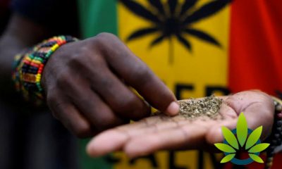 South Africa's Cannabis Legalization Movement on the Cusp of Happening