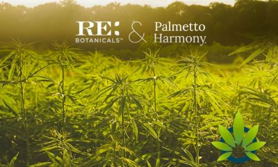 Palmetto Harmony and RE Botanicals Share Details on New Stock Merger