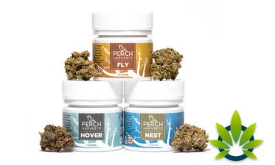 Temescal Wellness Debuts Perch Harvests, a Cannabis Flower Line Including Nest, Hover and Fly