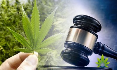 Tenth-Circuit-Rules-Marijuana-Business-is-Required-to-Comply-with-Federal-Overtime-Laws