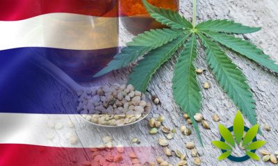 Thailand Green Lights Hemp CBD in Food, Cosmetics and Herbal Products