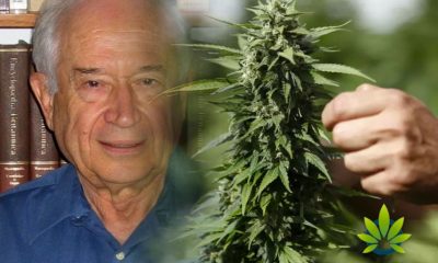 The-Father-of-Cannabis-Research-Raphael-Mechoulam-to-be-Honored-with-First-Lifetime-Achievement-Award-and-10000-Research-Grant