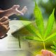 The Future of Legal Cannabis Markets: New Marijuana Industry Research Graphic