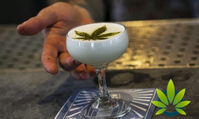 CBD-Infused Drinks are Trending, But What Concerns Should Users Have for Cannabidiol Beverages?