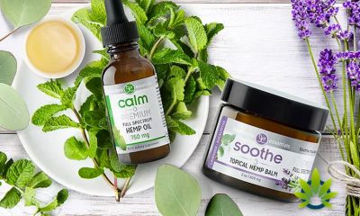 touchstone essentials adds two new strenghts to their cbd live