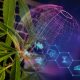 Trace-Blockchain-Company-Announces-Patent-for-Cannabis-Supply-Chain-Software