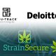 TruTrace and Deloitte Partner to Use Blockchain to Track Cannabis Quality via Its StrainSecure System