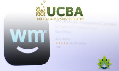 United Cannabis Business Association Seeks Action on Weedmaps for Hosting Unlicensed Firms
