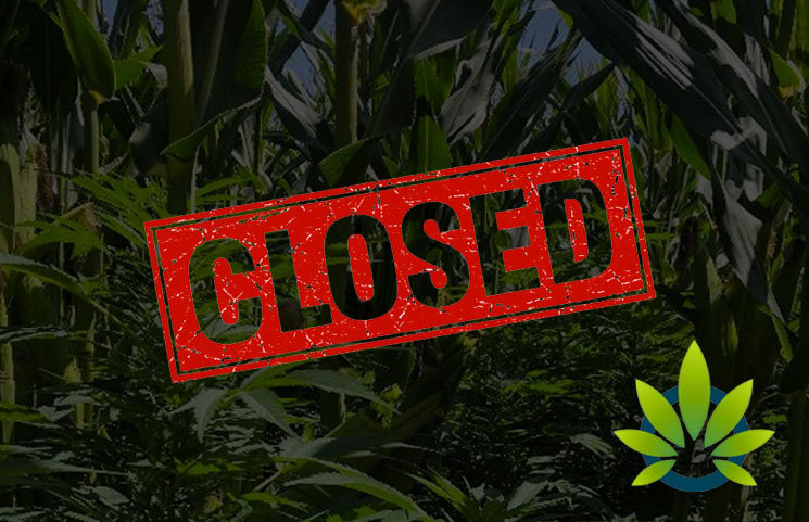 Unpermitted Grow Site with Over 60,000 Plants Shut Down by Sonoma County Inspectors