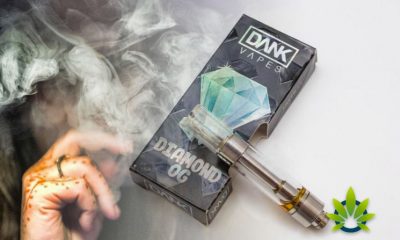 CDC Hot Take: Vape Lung Illnesses Are Linked to Bootleg THC Cartridges