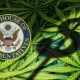House of Representatives Validates SAFE Banking Act 2019: Updated Banking Synopsis for Legit Marijuana Businesses