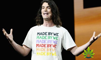 WeWork CEO Could Step Down as Marijuana Use May Be a Focal Point
