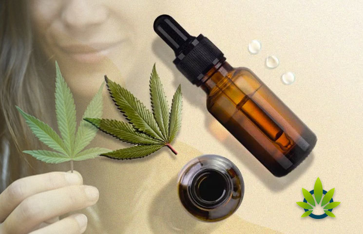What-Should-Consumers-Know-About-CBD-Joints-How-Do-They-Differ-from-CBD-Oil
