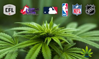 Professional Athletes Voice Support for Cannabis Use, But Will Sports Leagues Advocate It?