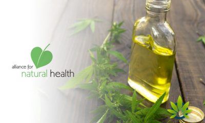 Will-Affordable-CBD-Oil-Be-A-Thing-of-The-Past-Alliance-for-Natural-Health-ANH-Asks-to-Save-CBD