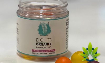 New Palm Organix Broad Spectrum CBD Gummies Launch with Zero-THC