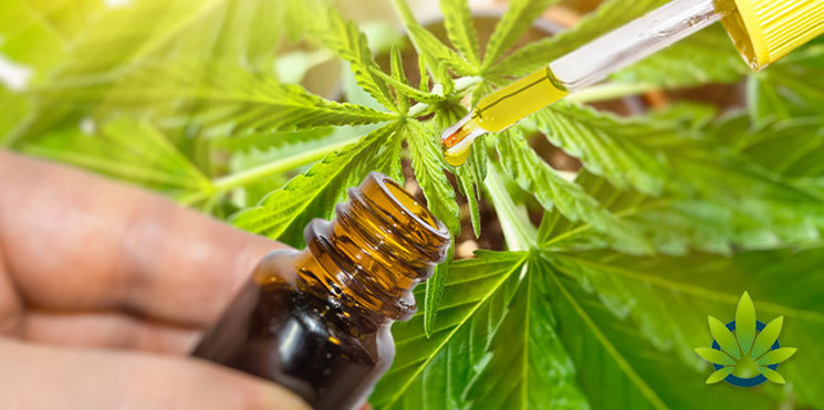 cbd oils and products