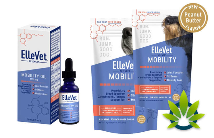 ElleVet Sciences CBD: Hemp CBD Oil & Chews for Dogs and Cats Pets