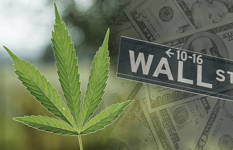 Wall Street Financial Experts Predict a Booming Cannabis Market in Years to Come