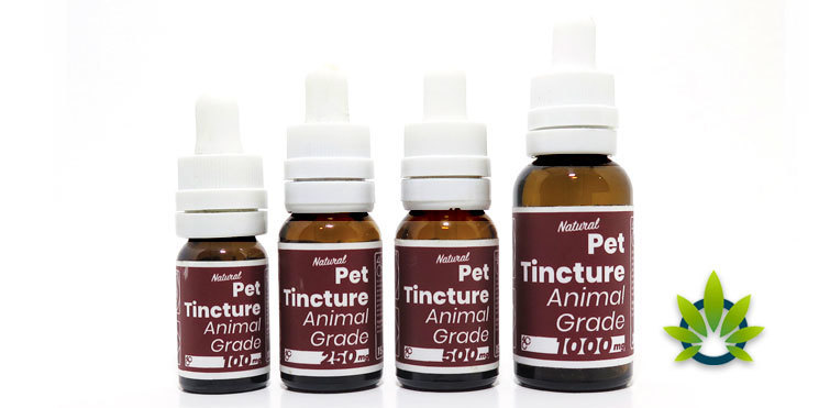 4 corners cannabis pet tincture