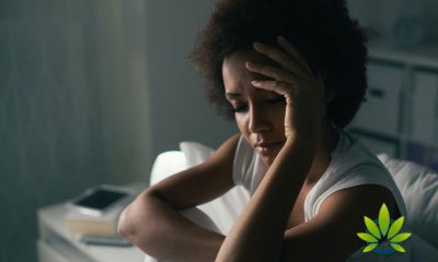 New CBD Study: Long-Term Effects of Use Cause Sleep Disturbances during Adulthood